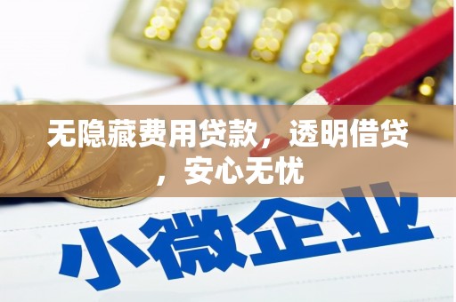 荣成无隐藏费用贷款，透明借贷，安心无忧