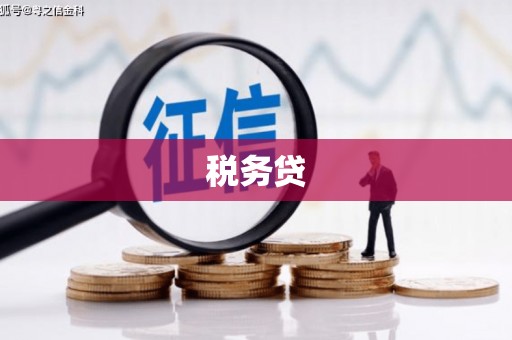 荣成税务贷
