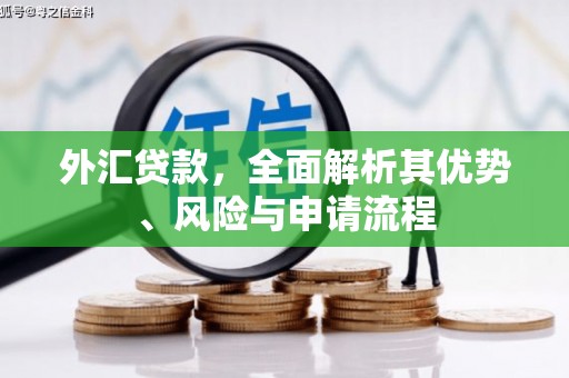 荣成外汇贷款，全面解析其优势、风险与申请流程