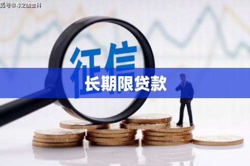 荣成长期限贷款
