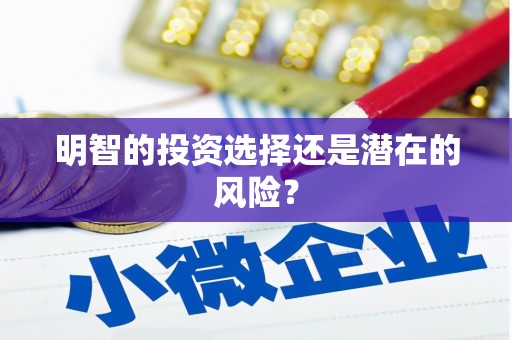 荣成明智的投资选择还是潜在的风险？