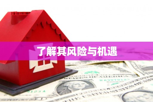荣成了解其风险与机遇