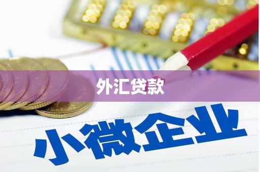荣成外汇贷款