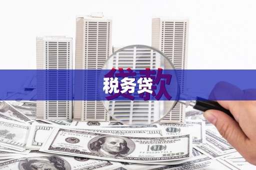 荣成税务贷
