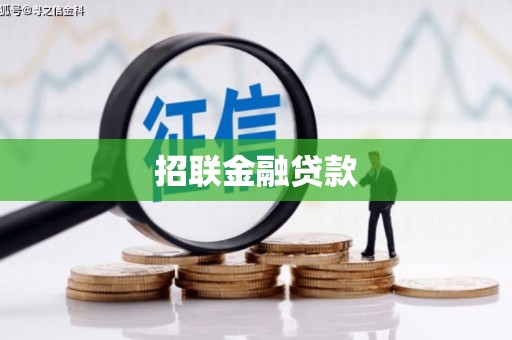 荣成招联金融贷款