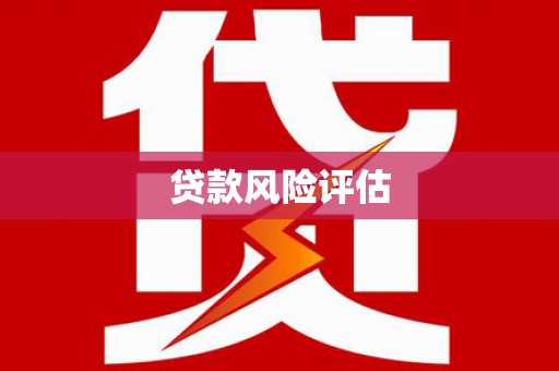 荣成贷款风险评估