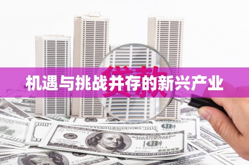 荣成机遇与挑战并存的新兴产业